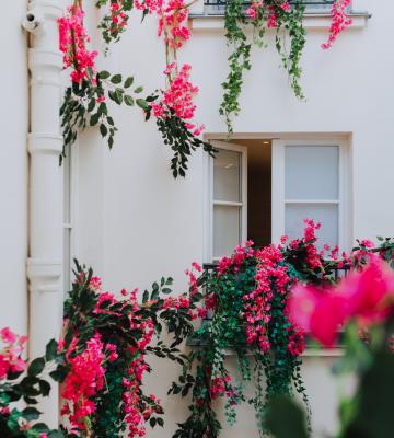 A colorful winter in your House